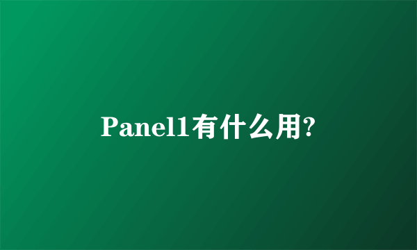 Panel1有什么用?