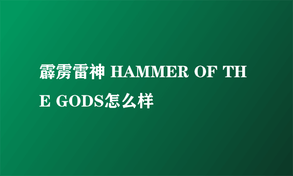 霹雳雷神 HAMMER OF THE GODS怎么样