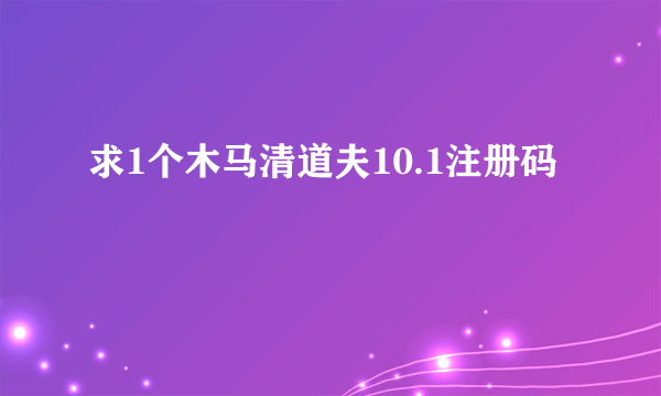 求1个木马清道夫10.1注册码