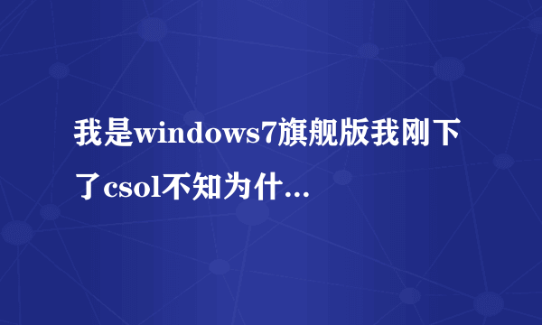 我是windows7旗舰版我刚下了csol不知为什么登陆后会弹出StartService 0x204 为防御非法程序driver开始失败