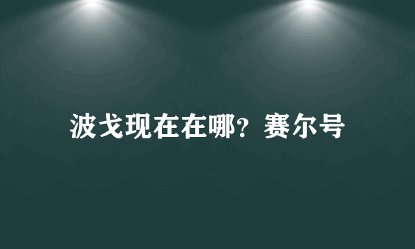 波戈现在在哪？赛尔号