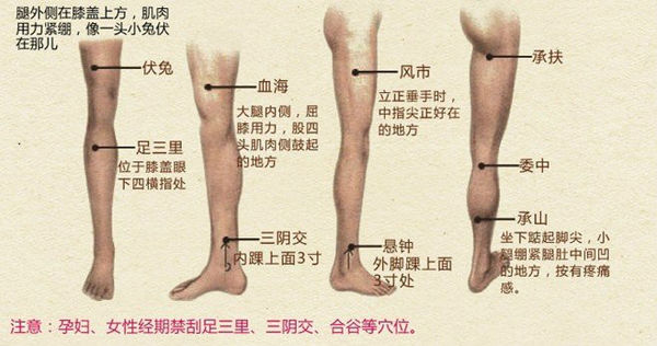 腿部拔罐的穴位在哪