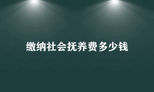 缴纳社会抚养费多少钱