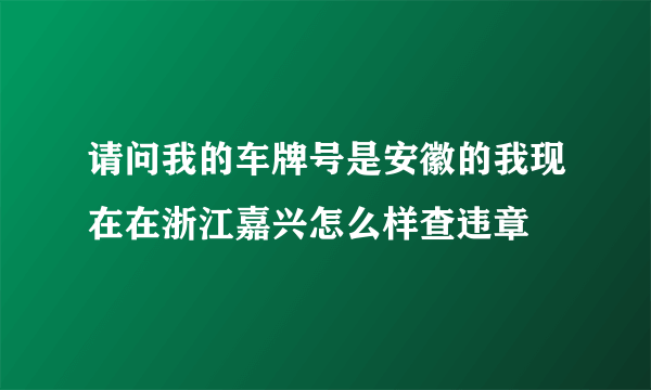 请问我的车牌号是安徽的我现在在浙江嘉兴怎么样查违章