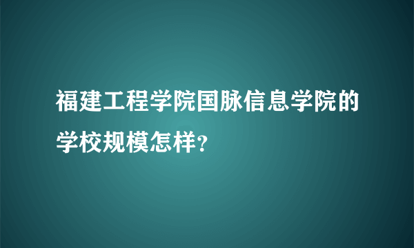 福建工程学院国脉信息学院的学校规模怎样？