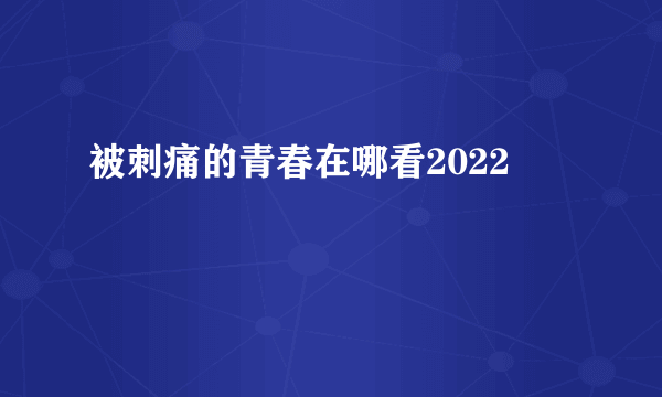 被刺痛的青春在哪看2022