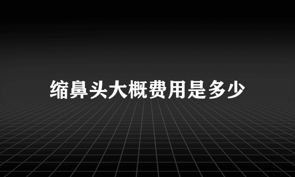 缩鼻头大概费用是多少