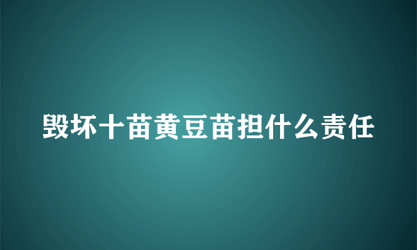 毁坏十苗黄豆苗担什么责任