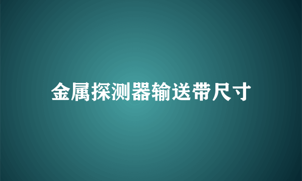 金属探测器输送带尺寸