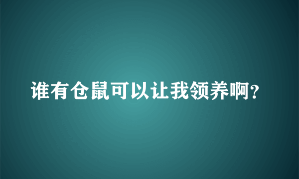 谁有仓鼠可以让我领养啊？