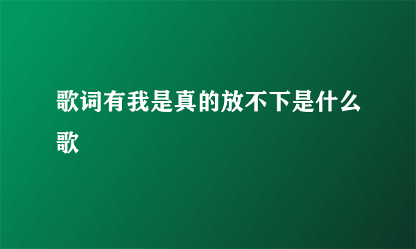 歌词有我是真的放不下是什么歌