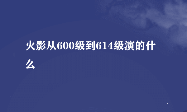 火影从600级到614级演的什么