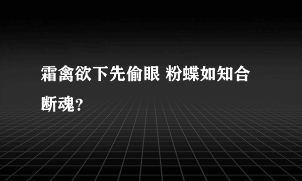 霜禽欲下先偷眼 粉蝶如知合断魂？