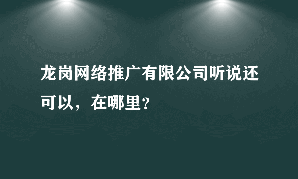 龙岗网络推广有限公司听说还可以，在哪里？