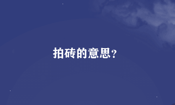 拍砖的意思？