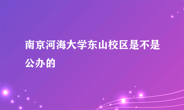 南京河海大学东山校区是不是公办的