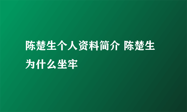 陈楚生个人资料简介 陈楚生为什么坐牢