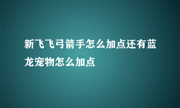 新飞飞弓箭手怎么加点还有蓝龙宠物怎么加点