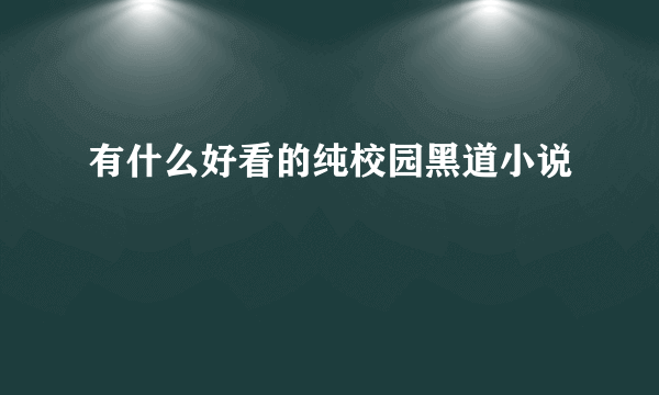 有什么好看的纯校园黑道小说