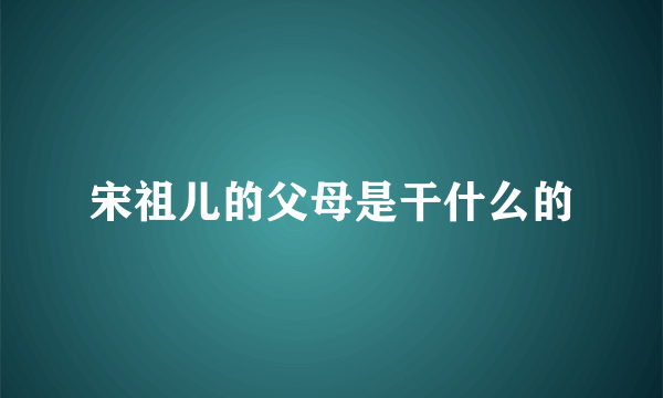 宋祖儿的父母是干什么的