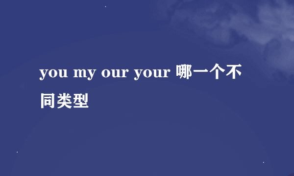 you my our your 哪一个不同类型