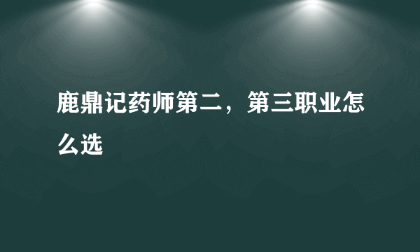 鹿鼎记药师第二，第三职业怎么选