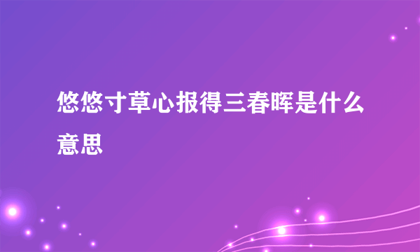 悠悠寸草心报得三春晖是什么意思