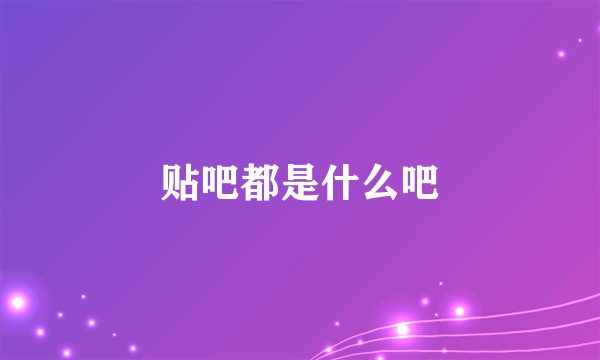 贴吧都是什么吧