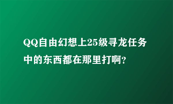 QQ自由幻想上25级寻龙任务中的东西都在那里打啊？