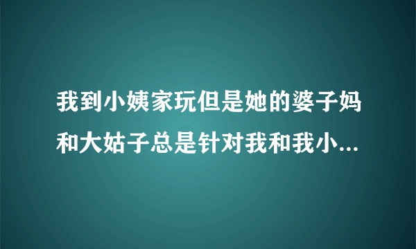 我到小姨家玩但是她的婆子妈和大姑子总是针对我和我小姨，怎么能不伤害我姨夫的面子，又能打击她们