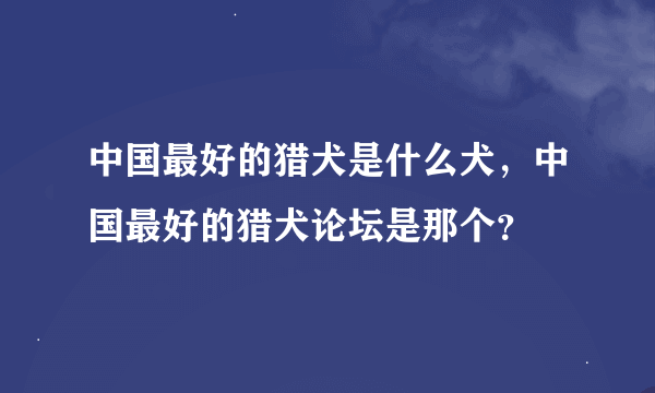 中国最好的猎犬是什么犬，中国最好的猎犬论坛是那个？