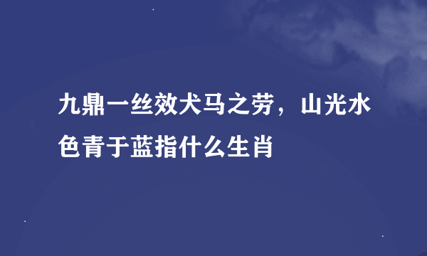 九鼎一丝效犬马之劳，山光水色青于蓝指什么生肖