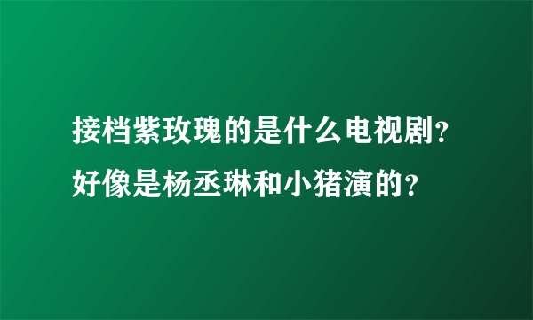 接档紫玫瑰的是什么电视剧？好像是杨丞琳和小猪演的？