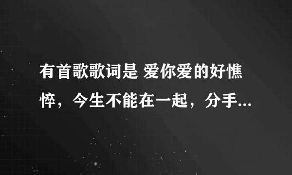 有首歌歌词是 爱你爱的好憔悴，今生不能在一起，分手的话你来说 。。。好像是首DJ