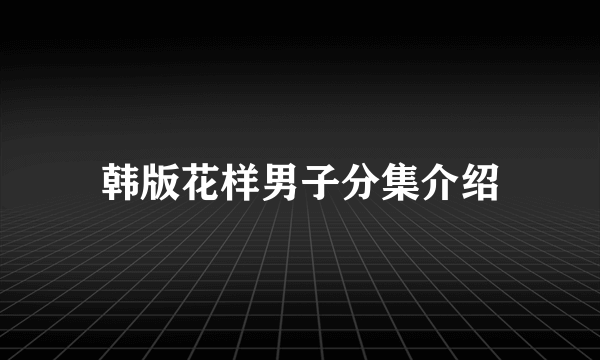 韩版花样男子分集介绍