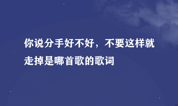 你说分手好不好，不要这样就走掉是哪首歌的歌词