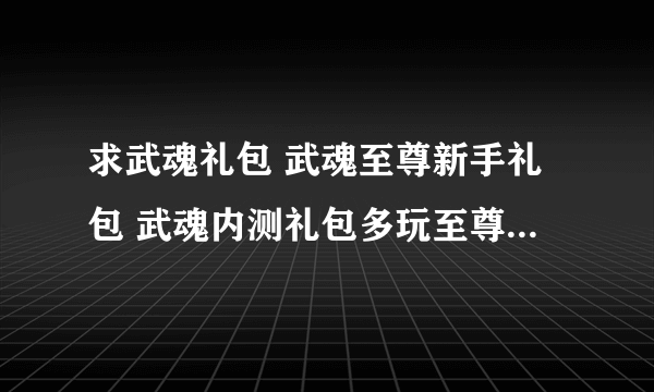 求武魂礼包 武魂至尊新手礼包 武魂内测礼包多玩至尊礼包 武魂激活码