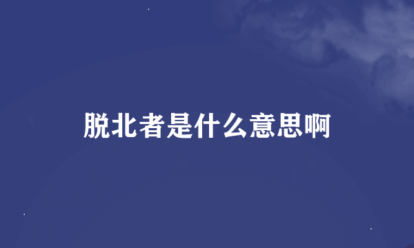 脱北者是什么意思啊