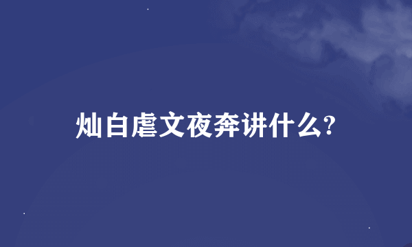 灿白虐文夜奔讲什么?