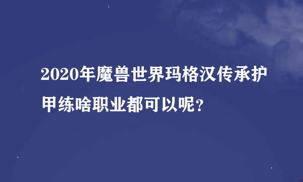 2020年魔兽世界玛格汉传承护甲练啥职业都可以呢？