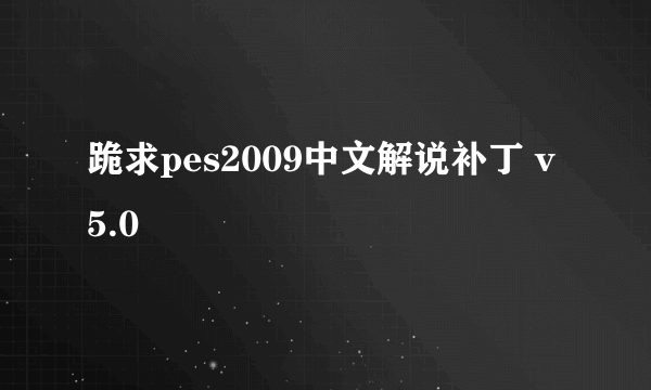 跪求pes2009中文解说补丁 v5.0