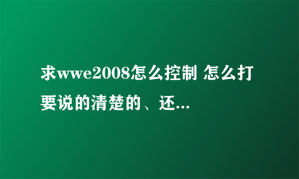 求wwe2008怎么控制 怎么打 要说的清楚的、还有怎么设置健最好？！懂的来！