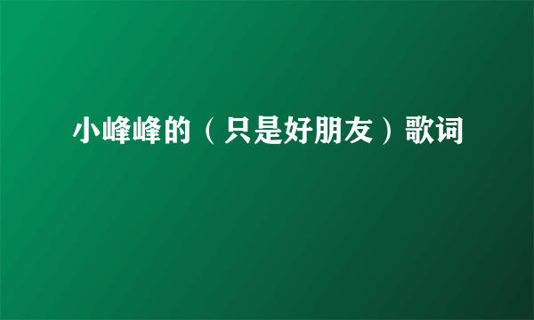 小峰峰的（只是好朋友）歌词