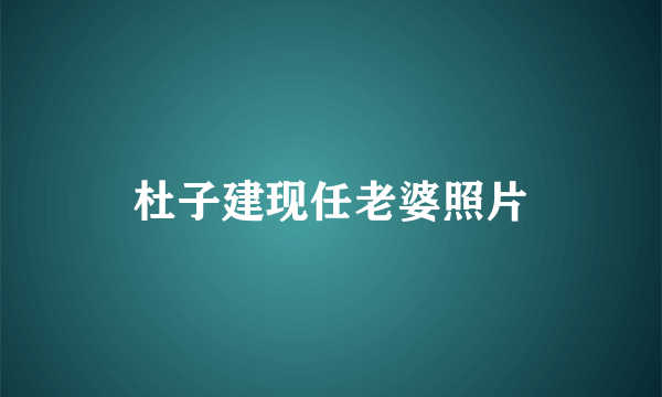 杜子建现任老婆照片