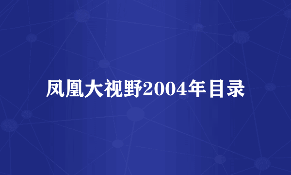 凤凰大视野2004年目录