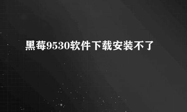 黑莓9530软件下载安装不了