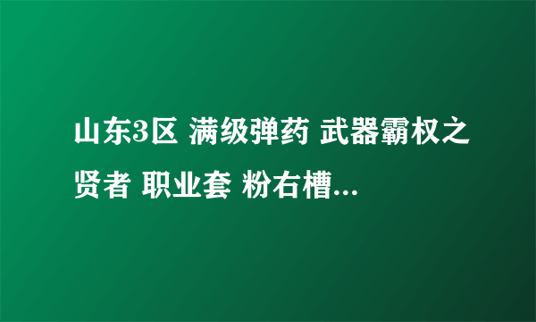 山东3区 满级弹药 武器霸权之贤者 职业套 粉右槽 深渊神器嗜灵之戒 带个进化完成的宠物 撒共 全套高级时装