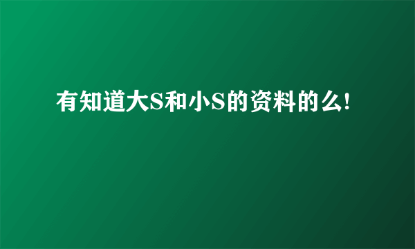 有知道大S和小S的资料的么!