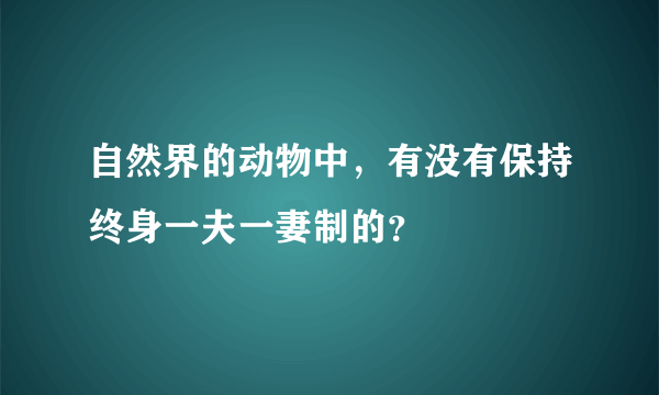 自然界的动物中，有没有保持终身一夫一妻制的？