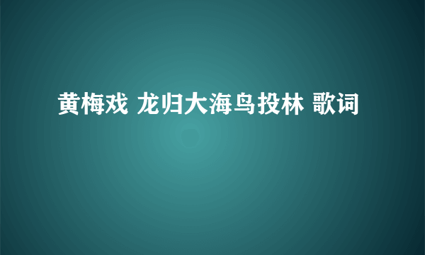 黄梅戏 龙归大海鸟投林 歌词